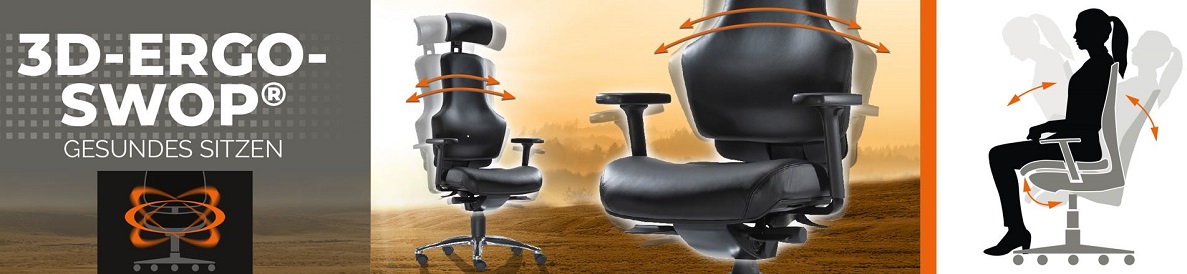 Bürostuhl-Hersbruck.de ➜ 3D-ErgoSWOP ➜ Bewegtes Sitzen